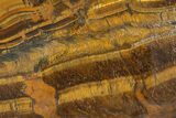 Polished Tiger's Eye Slab - South Africa #316091-1